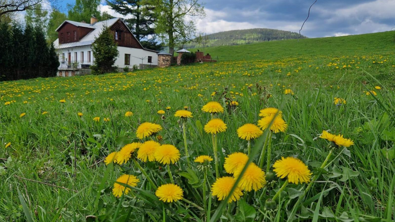Knezice 25, Chalupa V Krkonosich Vrchlabí Exterior foto